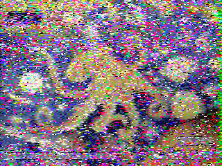 Фотография со спутника