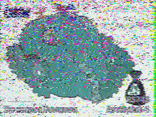 Фотография со спутника