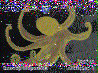 Фотография со спутника