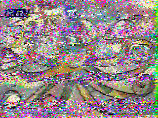 Фотография со спутника