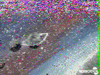 Photos from satellite