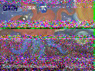 Фотография со спутника