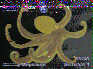 Фотография со спутника