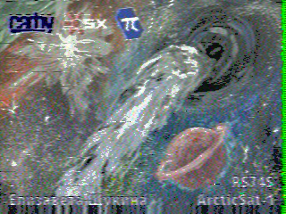 Фотография со спутника