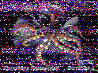 Фотография со спутника