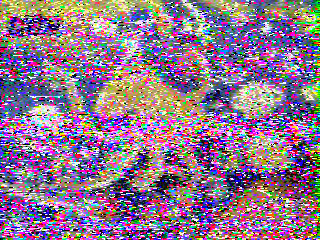 Фотография со спутника