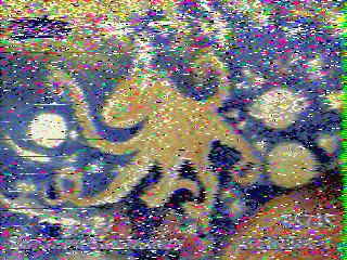 Фотография со спутника