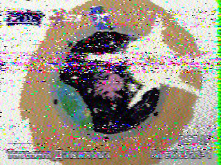 Фотография со спутника