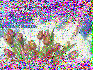Фотография со спутника