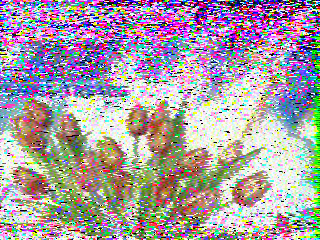 Фотография со спутника