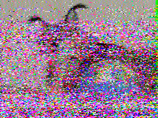 Фотография со спутника
