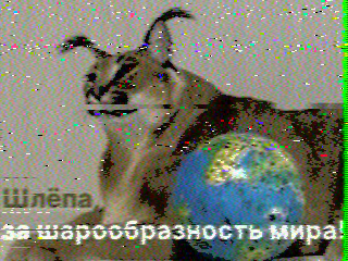 Фотография со спутника