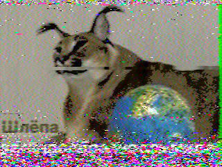 Фотография со спутника
