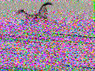 Фотография со спутника