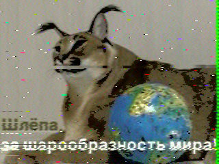 Фотография со спутника