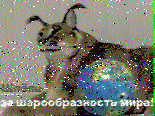 Фотография со спутника
