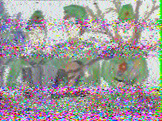 Фотография со спутника