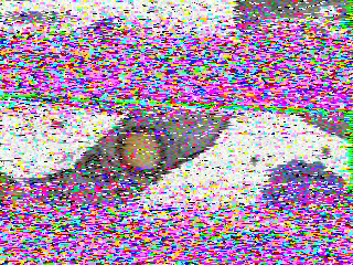 Фотография со спутника