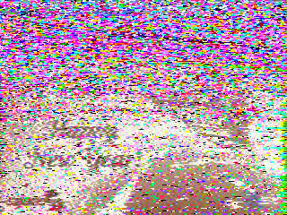Фотография со спутника