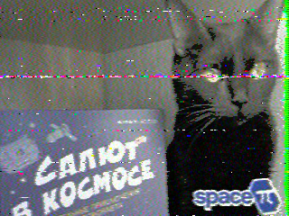 Фотография со спутника