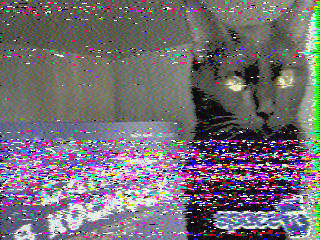 Фотография со спутника