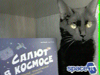 Фотография со спутника