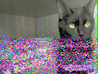 Фотография со спутника