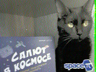 Фотография со спутника