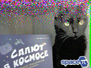 Фотография со спутника