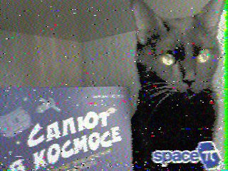 Фотография со спутника