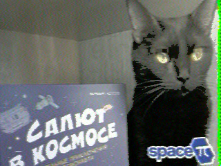 Фотография со спутника