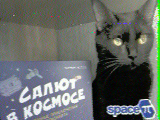 Фотография со спутника