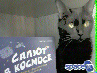 Фотография со спутника