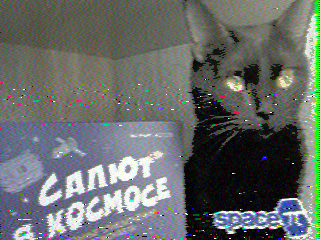 Фотография со спутника