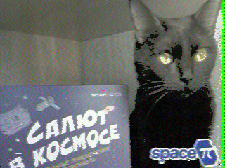 Фотография со спутника