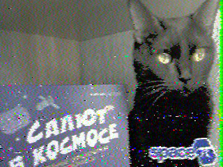 Фотография со спутника