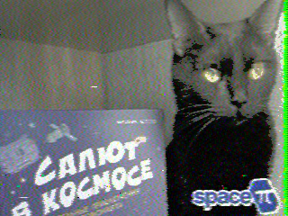 Фотография со спутника