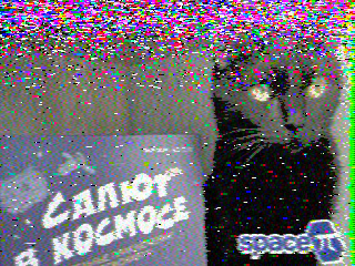 Фотография со спутника