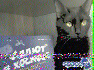 Фотография со спутника