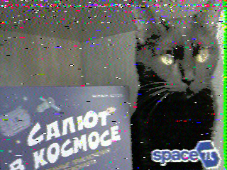 Фотография со спутника