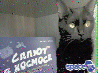 Фотография со спутника