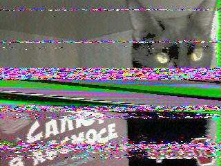 Фотография со спутника