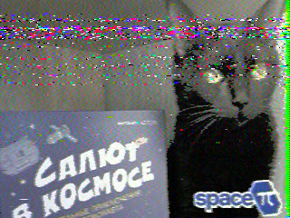 Фотография со спутника