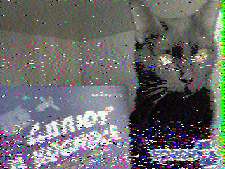 Фотография со спутника