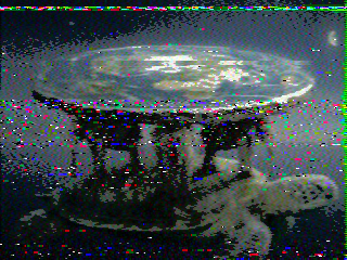 Photos from satellite