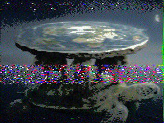 Photos from satellite