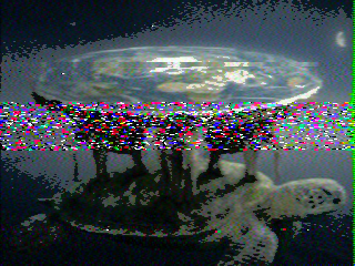 Photos from satellite