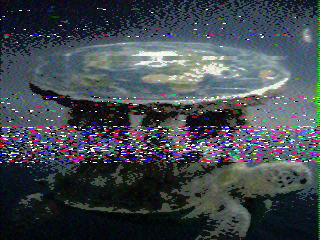 Photos from satellite