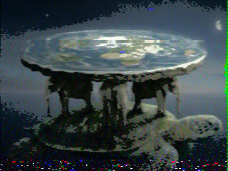 Photos from satellite