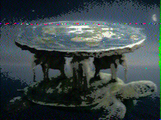 Photos from satellite